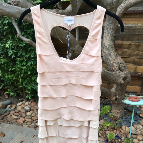 LISA MAREE Silk Mini Dress. Heart Cut Out. Nude/Blush. XS. NWOT - Picture 10 of 11